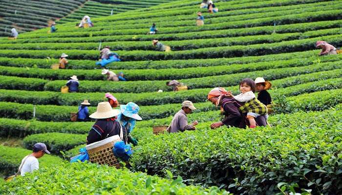 Nordthailand-Asien-Travel