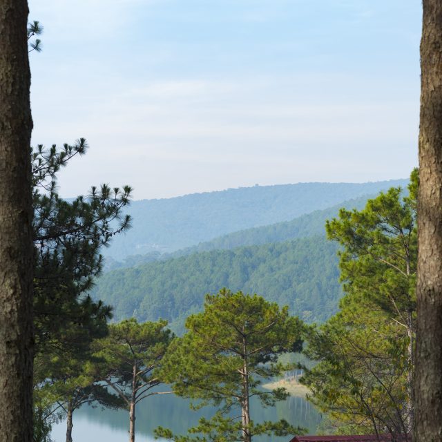 beautiful-landscape-of-nature-at-da-lat-countrysid-2025-03-27-02-23-57-utc-min