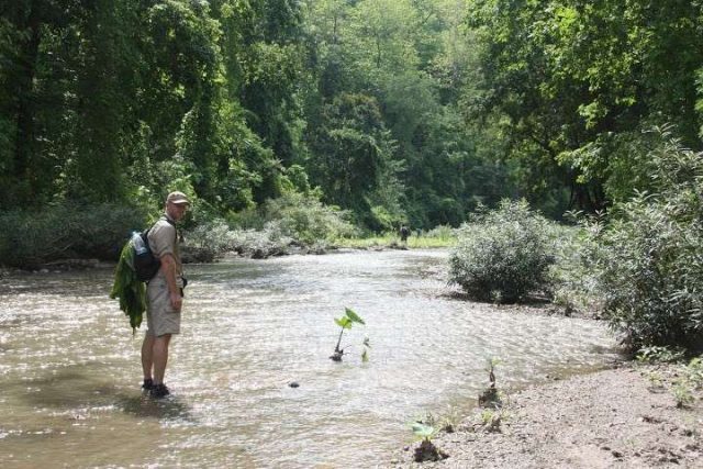 Thailands nationalparker