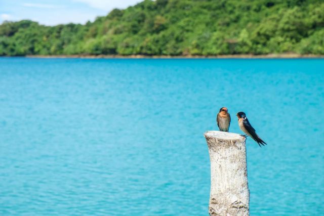 The Beach Natural Resort Ocean View The Beach Natural Resort Ocean View