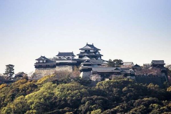 20200402_matsuyamajo_16_o0zb6m-600x400