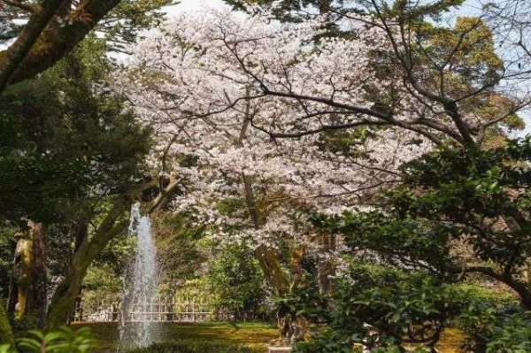 Kejserpaladshaverne i Tokyo ligger i paladsets indre område. De var en del af det tidligere Edo-slot
