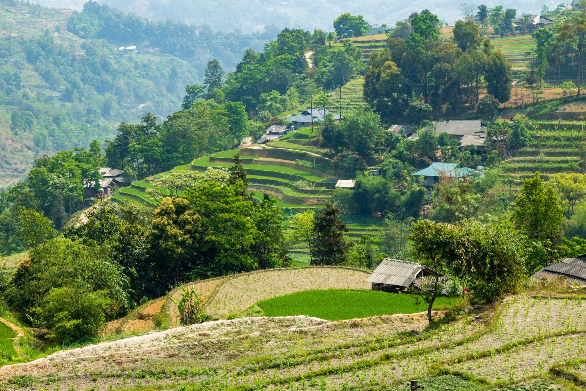 Trekking i Sapa – Vietnam Trekking i Sapa – Vietnam - Asien Travel