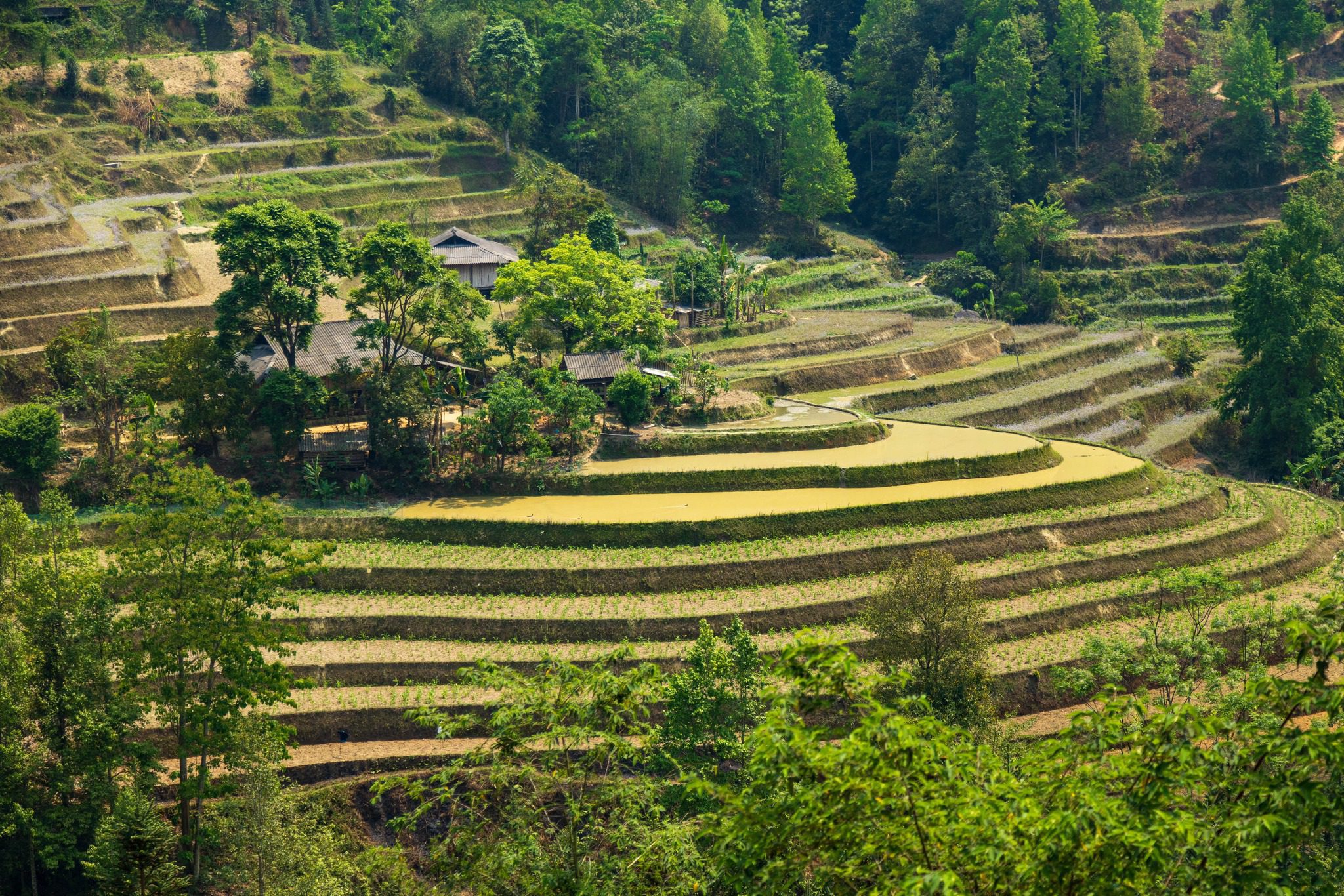 Trekking i Sapa – Vietnam Trekking i Sapa – Vietnam - Asien Travel