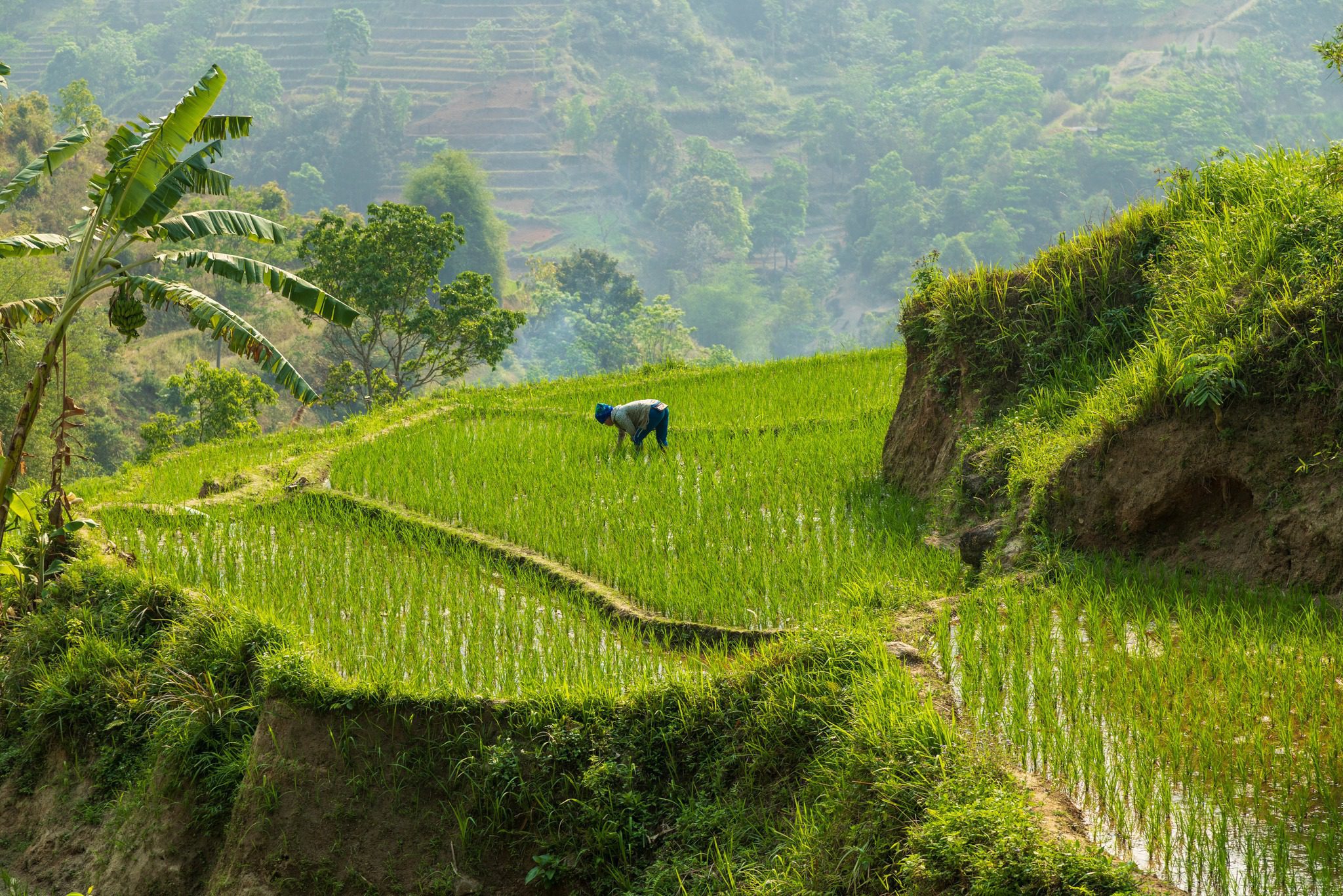 Trekking i Sapa – Vietnam Trekking i Sapa – Vietnam - Asien Travel
