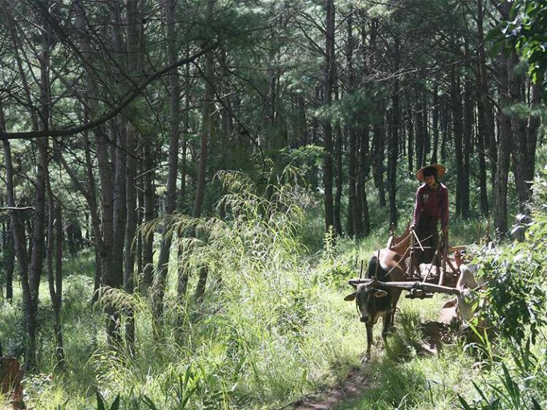 Myanmar-Asien-Travel-1-768x576