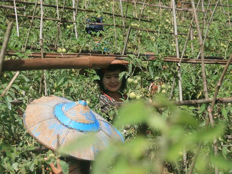 Myanmar-Asien-Travel-15-768x576