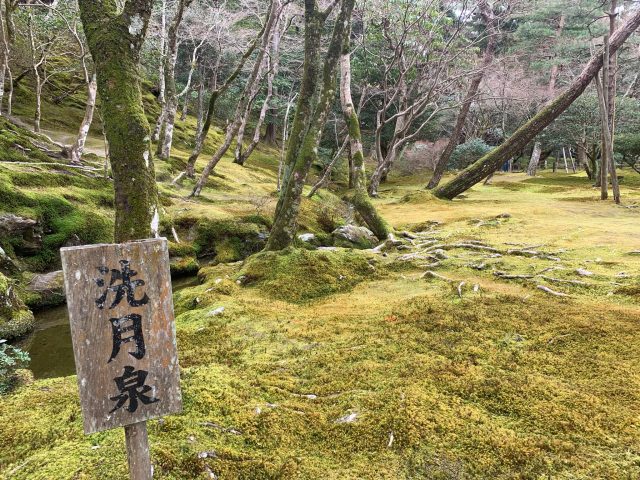 Guldpaviljonen og Sølvpaviljonen i Kyoto - Asien Travel