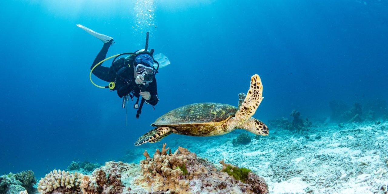 Koh Tao & Nang Yuan med Speedbåd