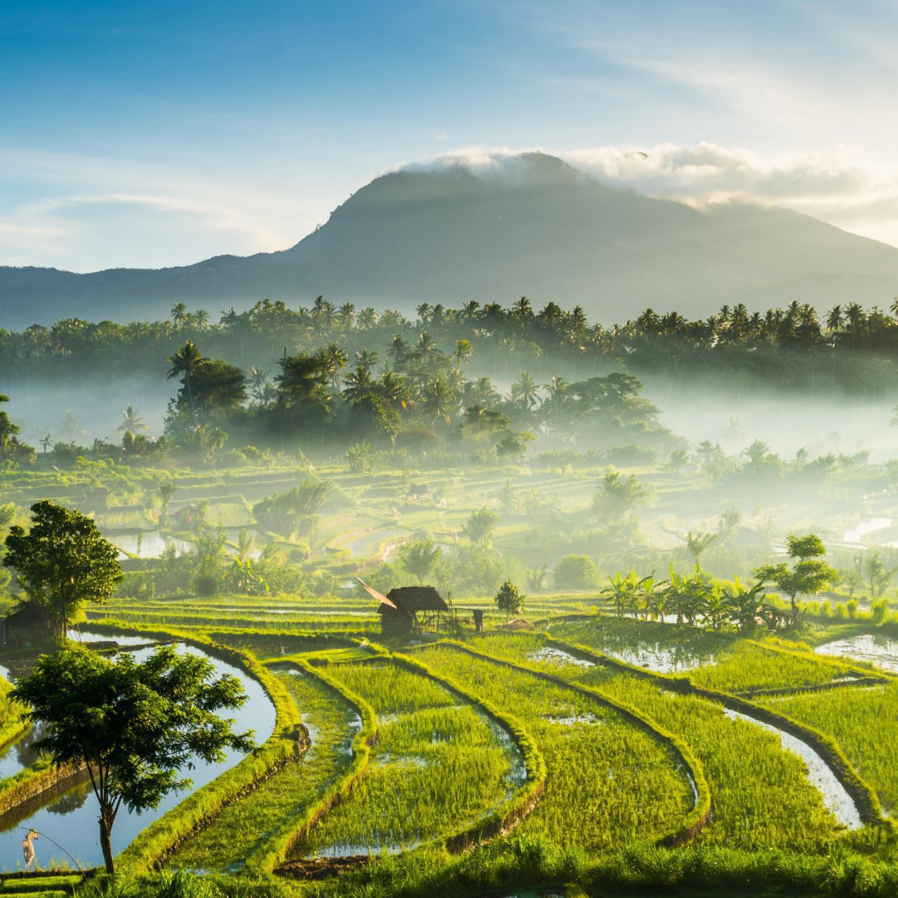 Bali Øhop – Bali, Gili og Lombok