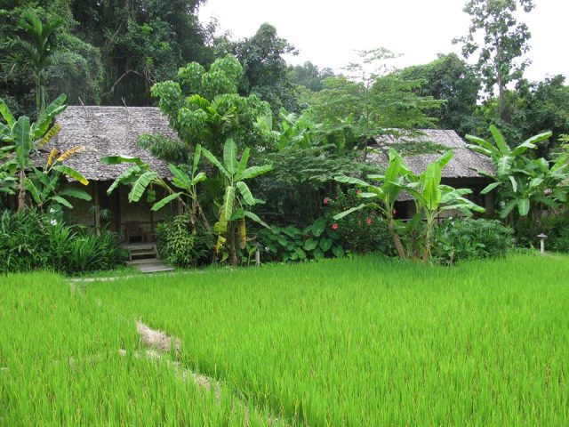 Fern Resort Exterior