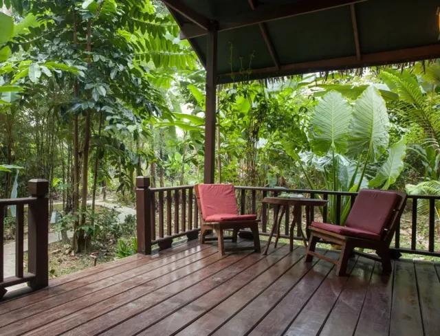 Our Jungle House Khao Sok Terrace