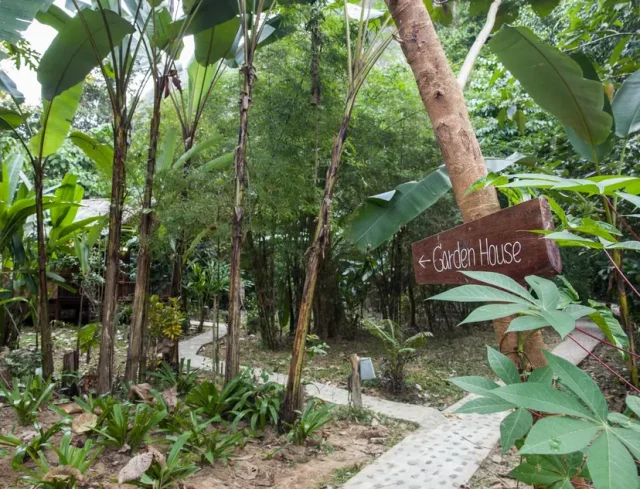 Our Jungle House Khao Sok Garden