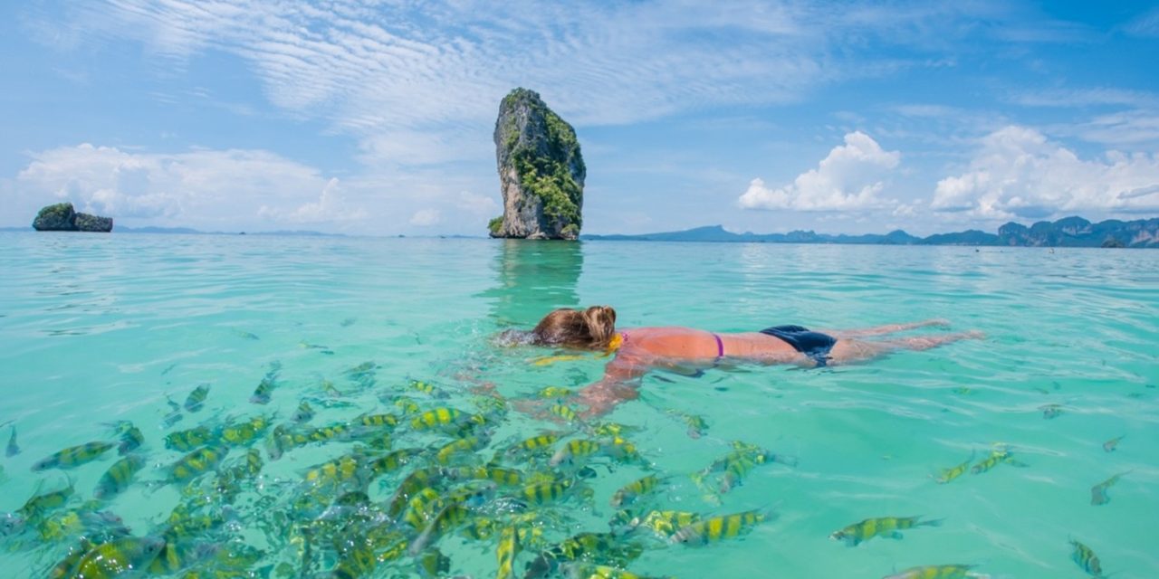 Snorkling ved Similan Islands