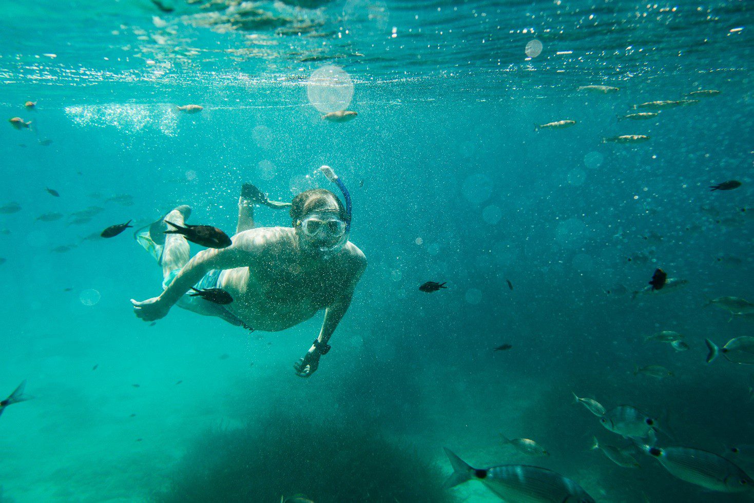 Øhop og snorkling ved Phu Quoc