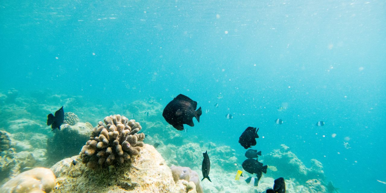 Koh Chang – Thai Fun Cruise