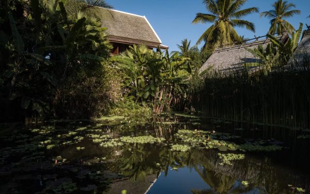 Luang Prabang Maison Pond Luang Prabang Maison Pond